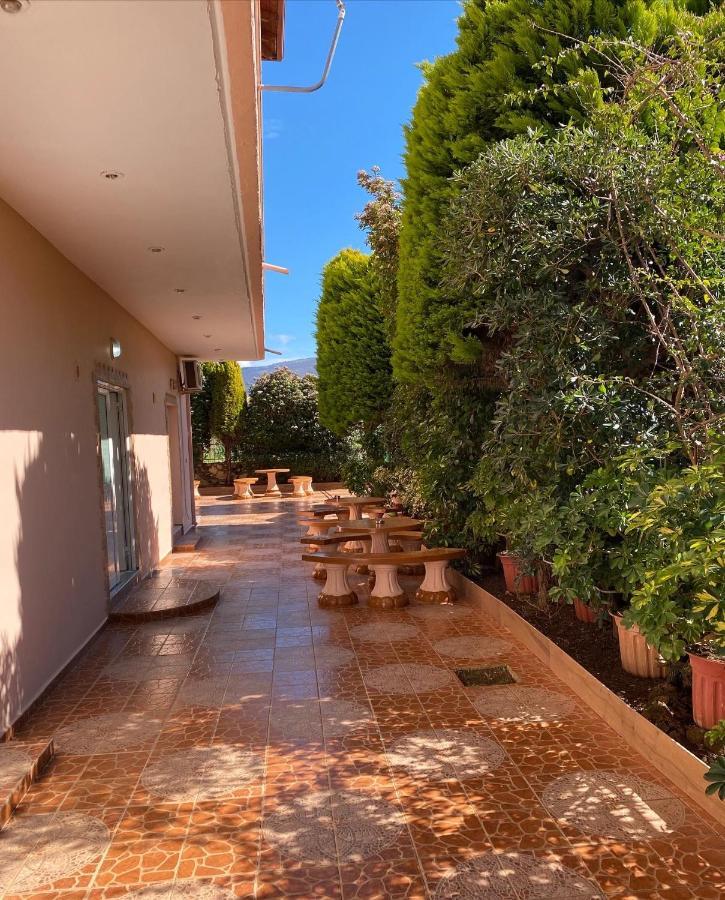 Hotel Moscopole Εξαμίλιο Εξωτερικό φωτογραφία